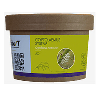 CRYPTOLAEMUS SYSTEM / 500