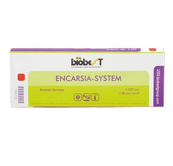 ENCARSIA-SYSTEM (CARTE 100-5000)
