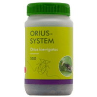 ORIUS SYSTEM (O. LAEVIGATUS)/500