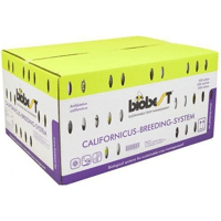 CALIFORNICUS-BREEDING-SYSTEM 100 SACHETS