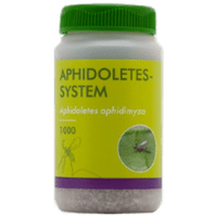 APHIDOLETES SYSTEM (A. APHIDIMYZA) SUR SCIURE BOIS 100ML /1000