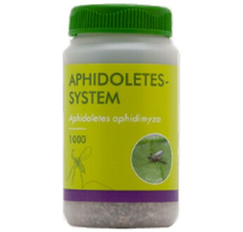APHIDOLETES SYSTEM (A. APHIDIMYZA) SUR SCIURE BOIS 100ML /1000