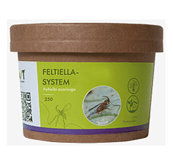 FELTIELLA-SYSTEM ( FELTIELLA ACARISUGA)/250
