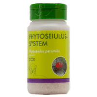PHYTOSEIULUS SYSTEM (P. PERSIMILIS) FLACON DE 100ML SCIURE /2000