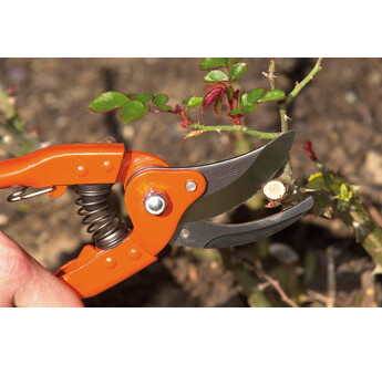 SECATEUR TRADITION 20CM BAHCO P110-20-F