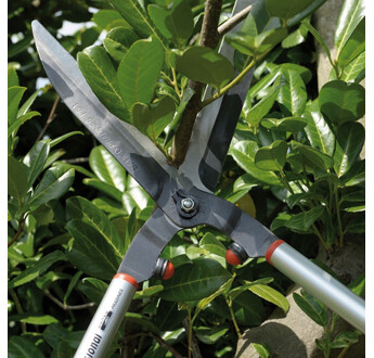 CISAILLE HAIE PRO 73CM BAHCO P51H-SL