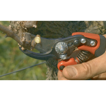 SECATEUR ERGO MOYEN TETE N2 BAHCO PX-M2