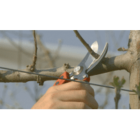 SECATEUR ERGO PETIT TETE N1 BAHCO PX-S1