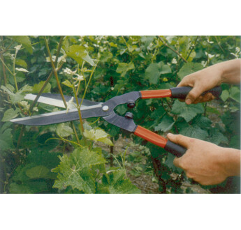 CISAILLE HAIE PRO 57CM BAHCO P51-F
