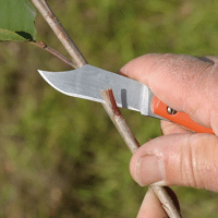 GREFFOIR 11CM BAHCO P11