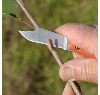 GREFFOIR 11CM BAHCO P11