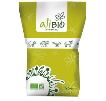 PONDEUSE ALIBIO BASSE COUR MIETTES