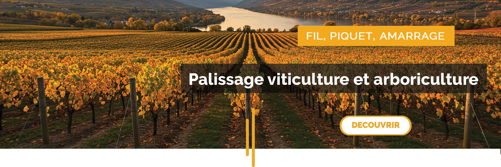 palissage - automne 2025