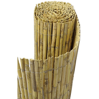 CANISSE ROSEAU REFENDUE 1M50X5M SILV CARE15