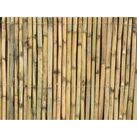 CANISSE ROSEAU REFENDUE 2M00X5M SILV CARE 2