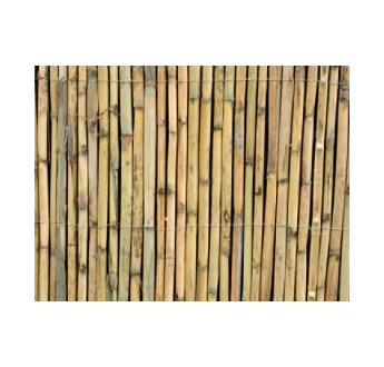 CANISSE ROSEAU REFENDUE 2M00X5M SILV CARE 2