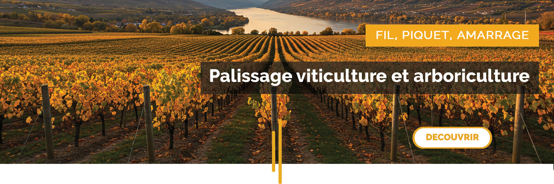 palissage - automne 2025