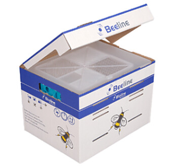 BEELINE STANDARD HIVE 80 WORKERS TERRESTRIS TERRESTRIS