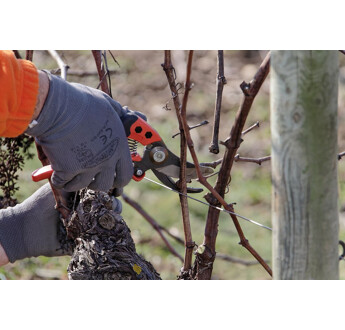 SECATEUR ERGO TAILLE L TETE N3 BAHCO PX-L3