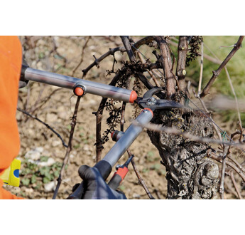 EBRANCHEUR PRO 60CM BISEAU EVOL BAHCO P116-SL-60