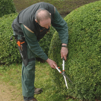 CISAILLE A HAIE P54-SL-25