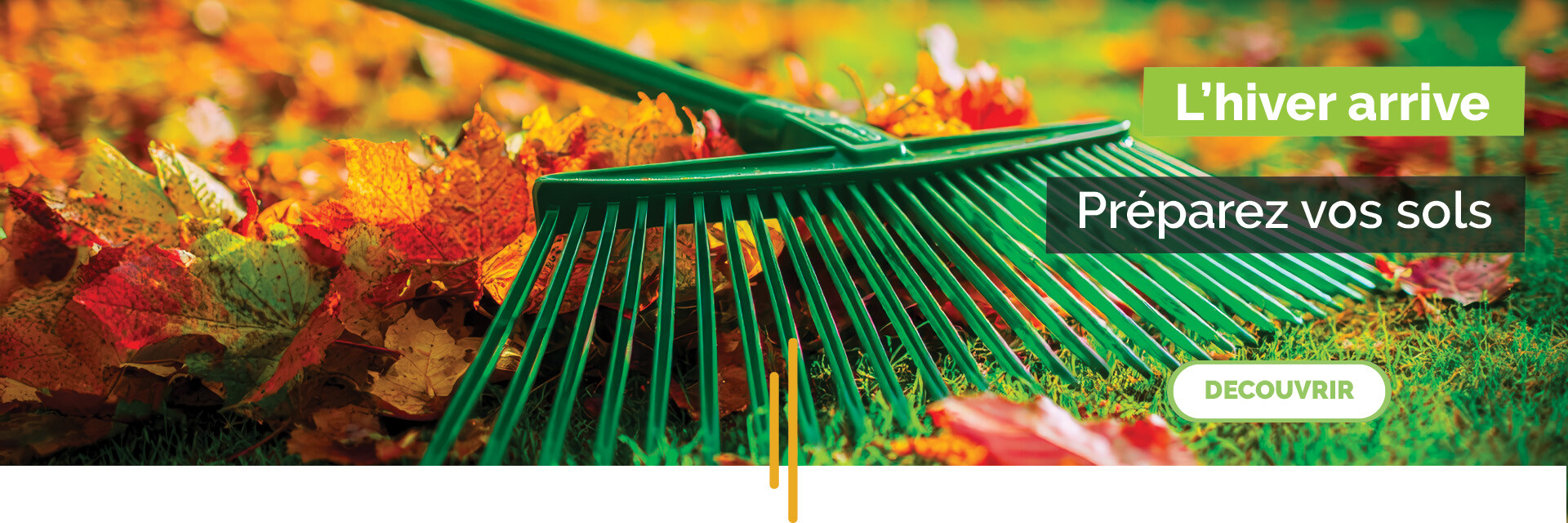 sélection hiver - espaces verts