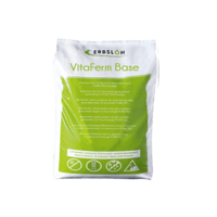 VITAFERM BASE 5KG