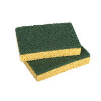 EPONGE GRATTANTE DUO - PAR 10