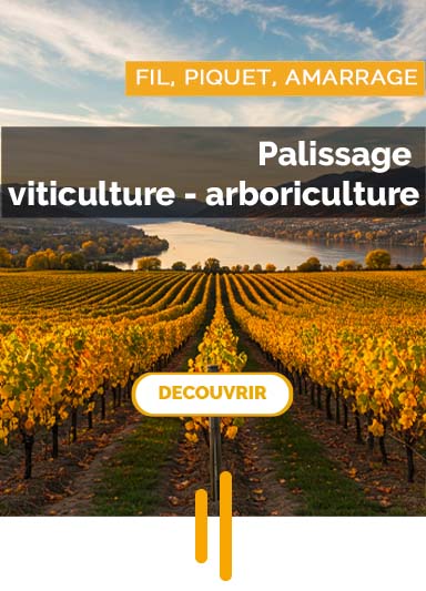 palissage - automne 2025