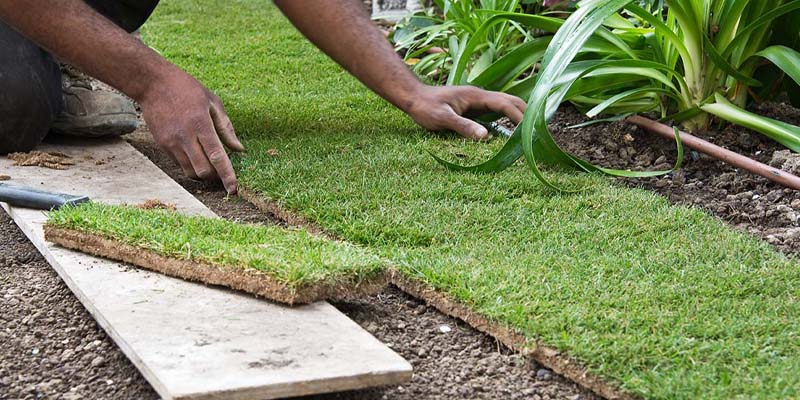 biostimulant et stress hydrique