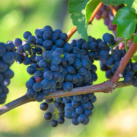 icone outillage et matériel